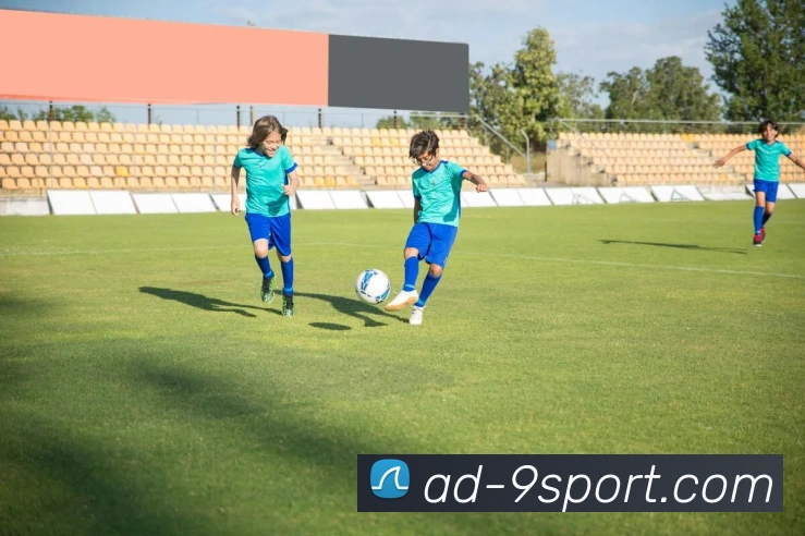 九游体育官网平台生态图